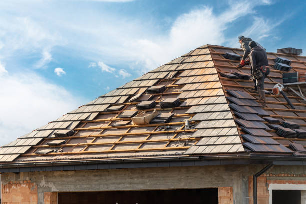 Best Solar Panel Roofing Installation  in Munhall, PA
